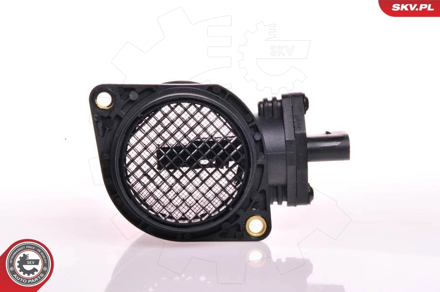 Mass Air Flow Sensor